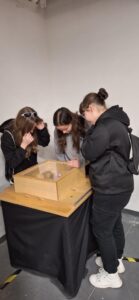 Centrum Nauki Wyobraźnia (2)