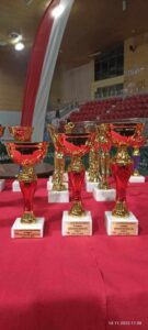 WOLOŚWIERKI DLA NIEPODLEGŁEJ (12)