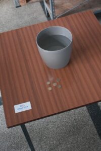 Andrzejki z Transplantacją gall (4)