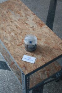 Andrzejki z Transplantacją gall (5)