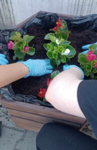 Samorządowe, coroczne upiększanie FSU 2023 24 (1)