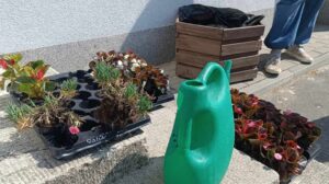 Samorządowe, coroczne upiększanie FSU 2023 24 (11)