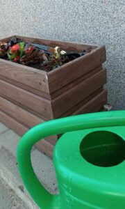 Samorządowe, coroczne upiększanie FSU 2023 24 (9)