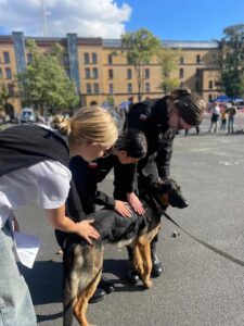 klasy policyjne (10)