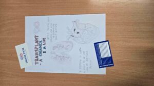 Transplantacja na językach (15)