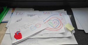 Transplantacja na językach (3)