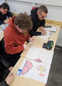 Transplantacja na językach (4)