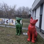 Świerkowa dla zwierząt (2)