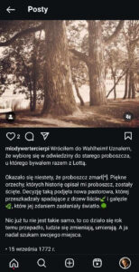 Werter na Instagramie (8)