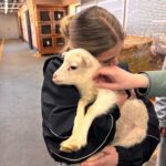 Zwiedzanie muzeum w Szreniawie (1)