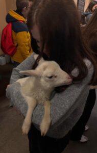 Zwiedzanie muzeum w Szreniawie (2)