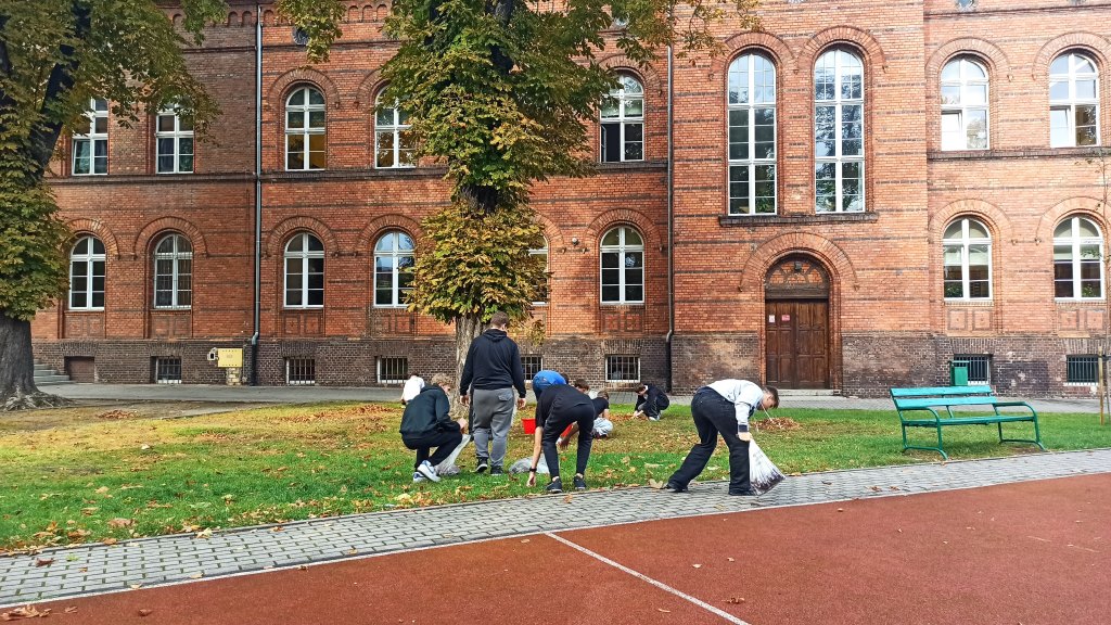 3t3 zbiera kasztany (2)