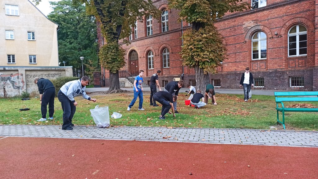 3t3 zbiera kasztany (3)