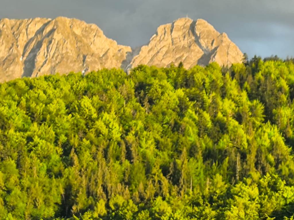 Pokaz musztry Zakopane (8)